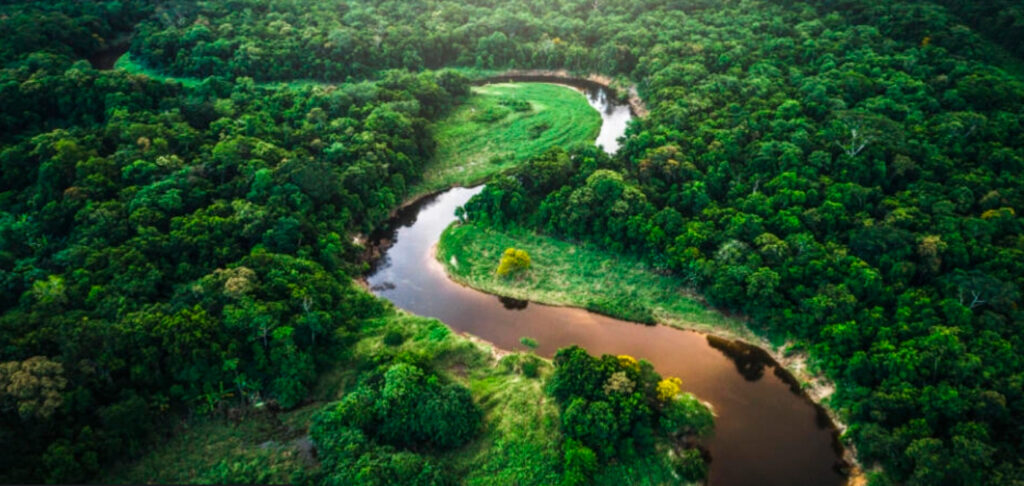 Los parques nacionales mas importantes en brasil.