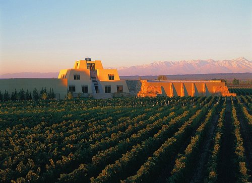 La magia de los viñedos en Mendoza, Argentina: Disfruta de vinos exquisitos y paisajes de montaña impresionantes.