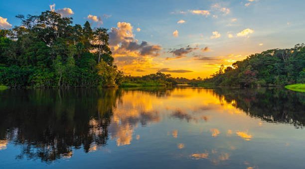 Aventuras Sostenibles en la Amazonía Ecuatoriana: Nuevas Iniciativas para Preservar el Pulmón del Planeta.