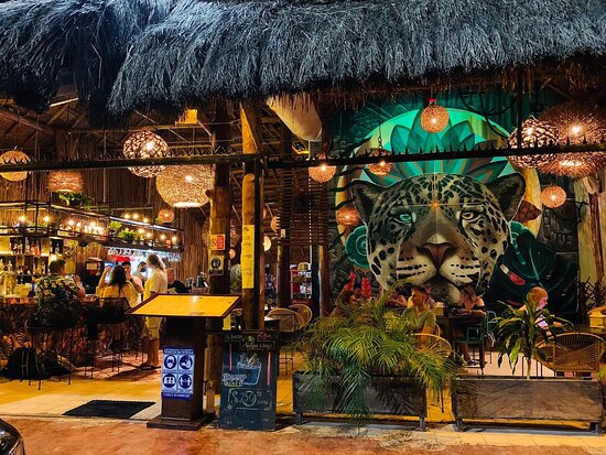 Cocina de Autor: Restaurantes de Chefs Reconocidos Internacionalmente que Deleitan Paladares en México.