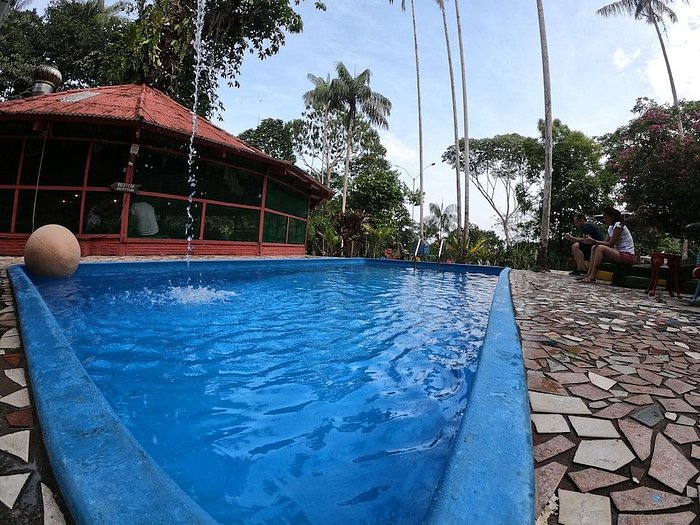 Lujo en la Selva: Hoteles Ecológicos en la Amazonía Redefinen la Estancia en América Latina.