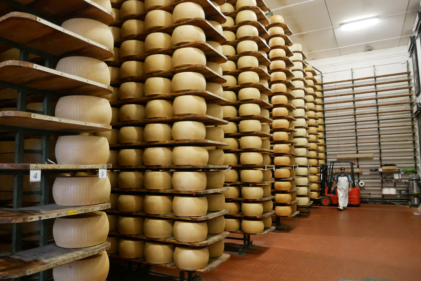 Descubre los secretos del queso parmesano en una visita a las queserías de Parma, Italia