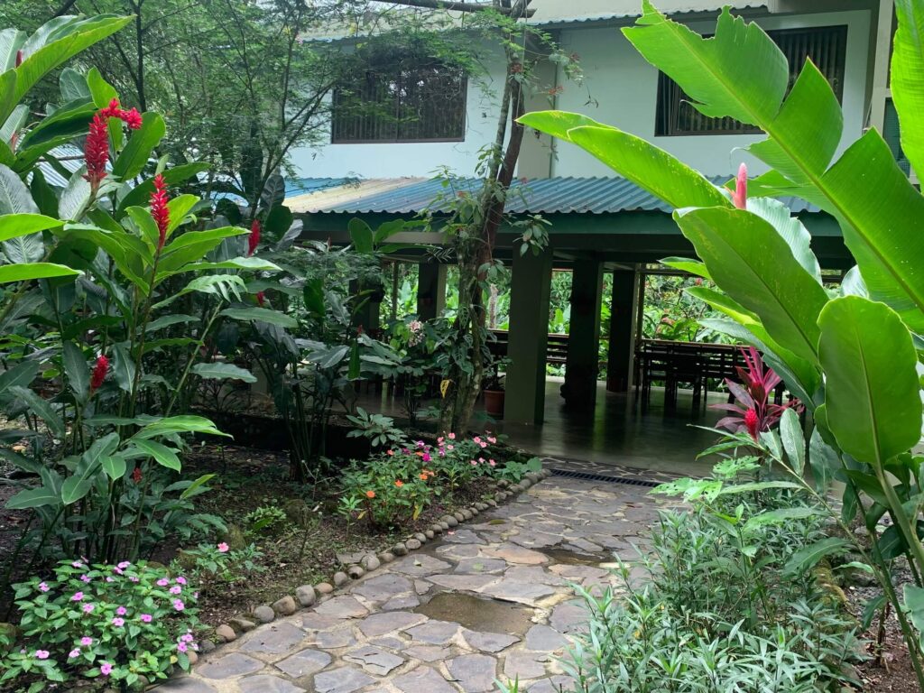 Hotel ecológico en Costa Rica: El hotel "The Sloth Institute" en Costa Rica ha sido reconocido como uno de los hoteles más ecológicos del mundo. El hotel funciona con energía solar, tiene un sistema de tratamiento de aguas residuales y ofrece actividades para los huéspedes que se centran en la sostenibilidad.