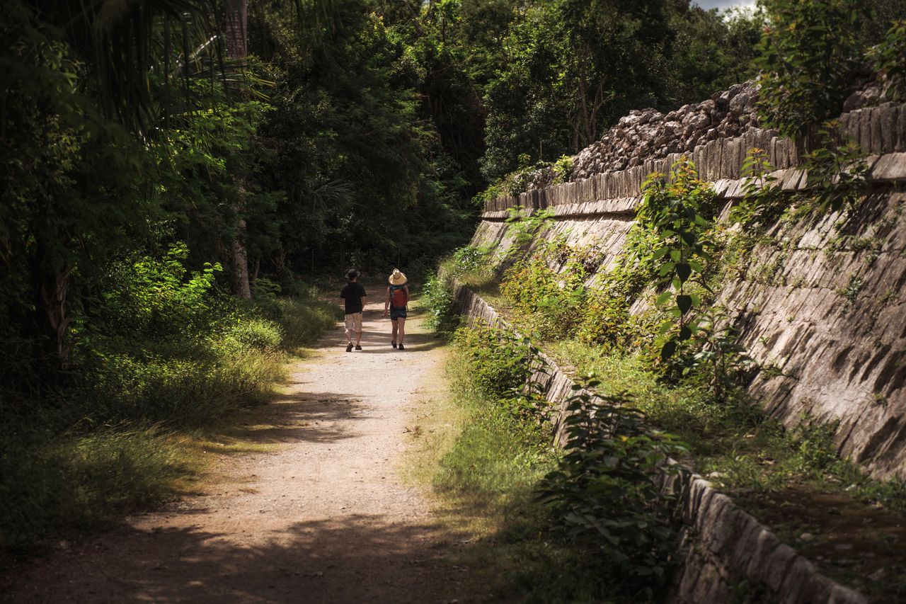 Foto de Tim Mossholder: https://www.pexels.com/es-es/foto/ciudad-paisaje-edificio-bosque-10681703/